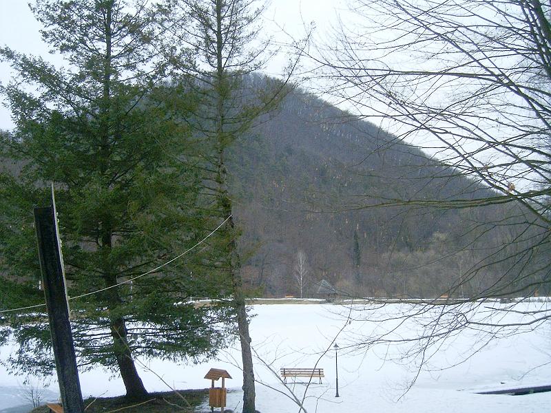 20110219 072.jpg